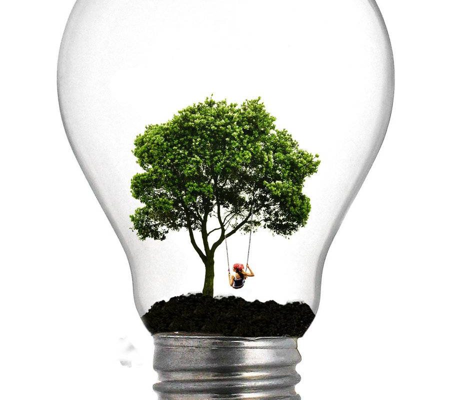 Environment and Renewable Energies in Lebanon