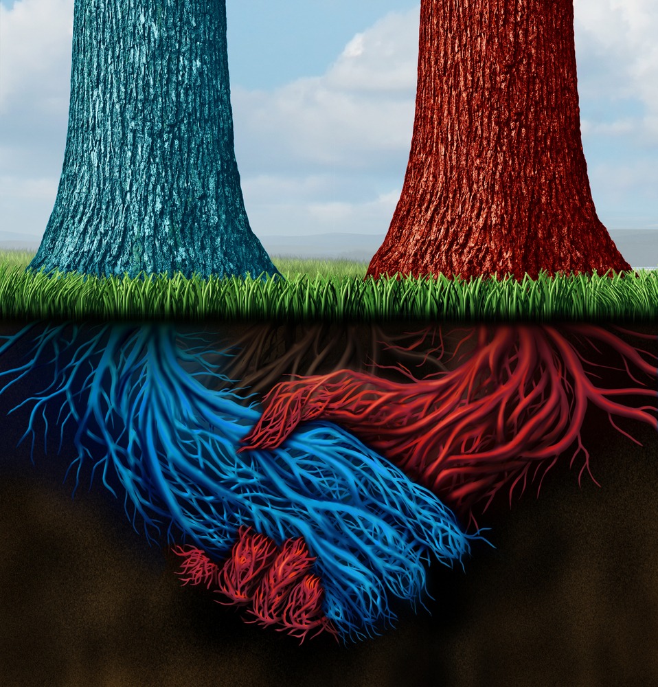  Mergers and Acquisitions between Lebanese Banks