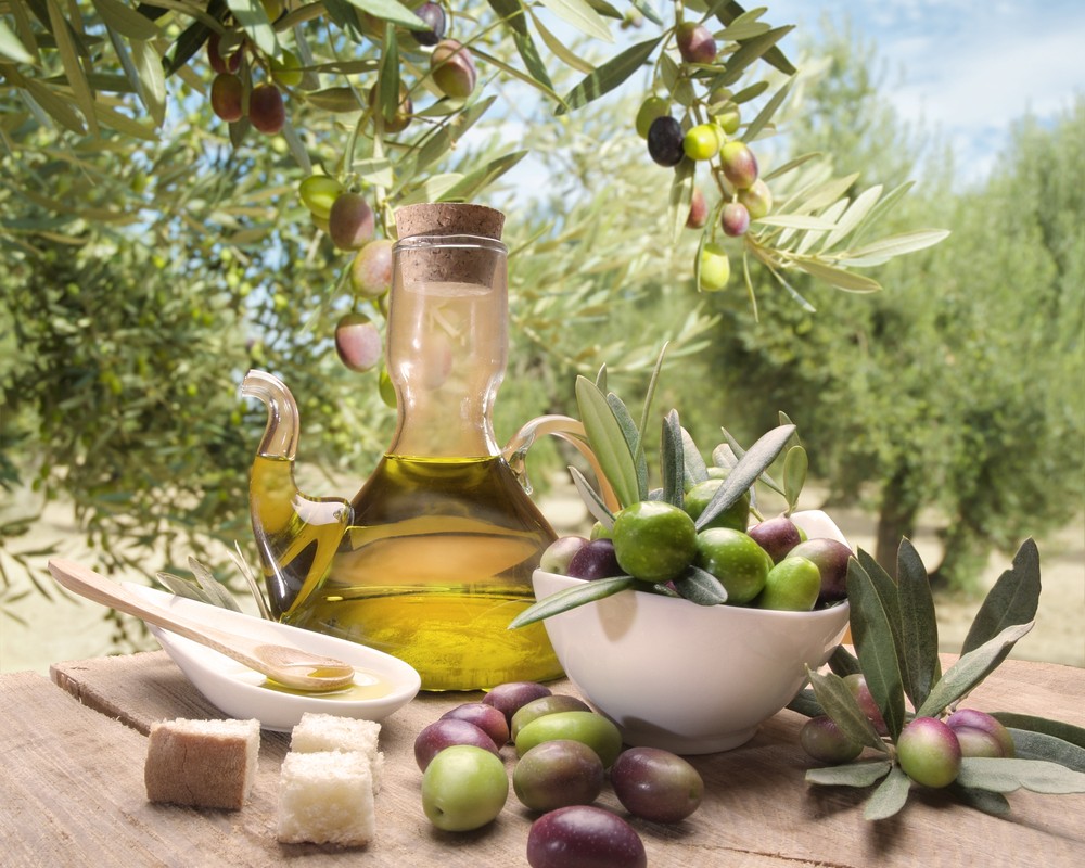 Olive Oil: The Bittersweet Taste of Lebanon