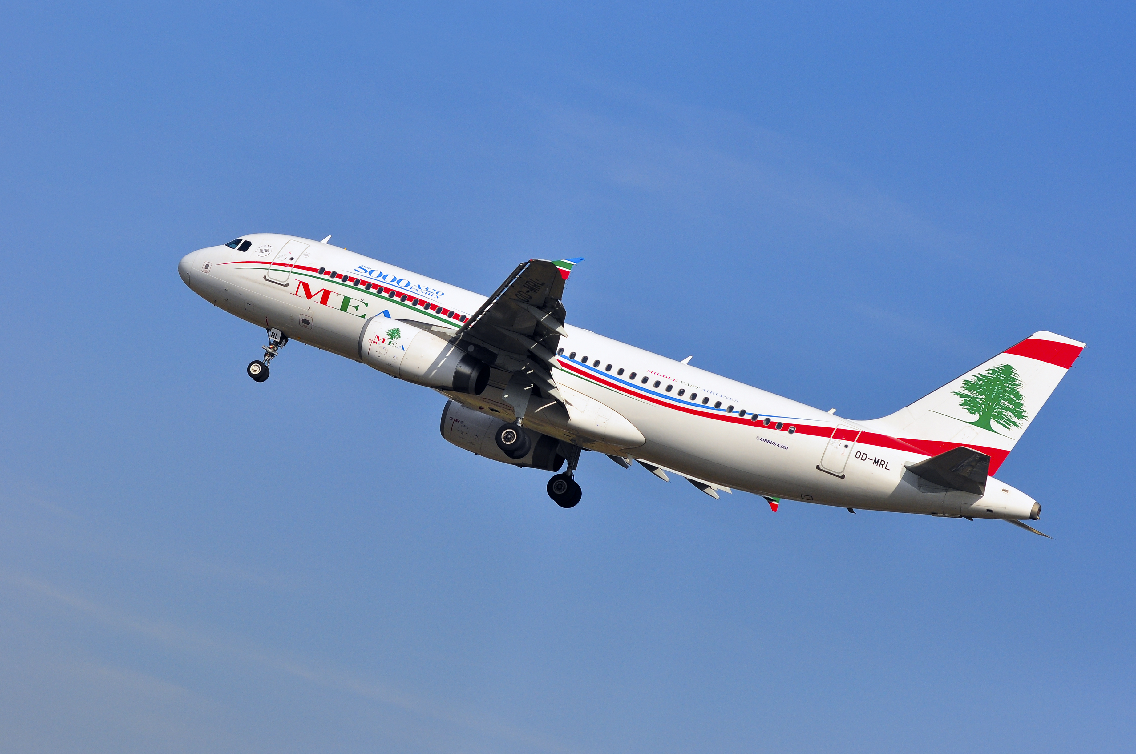  Middle East Airlines: Resilient As Its Cedar Emblem