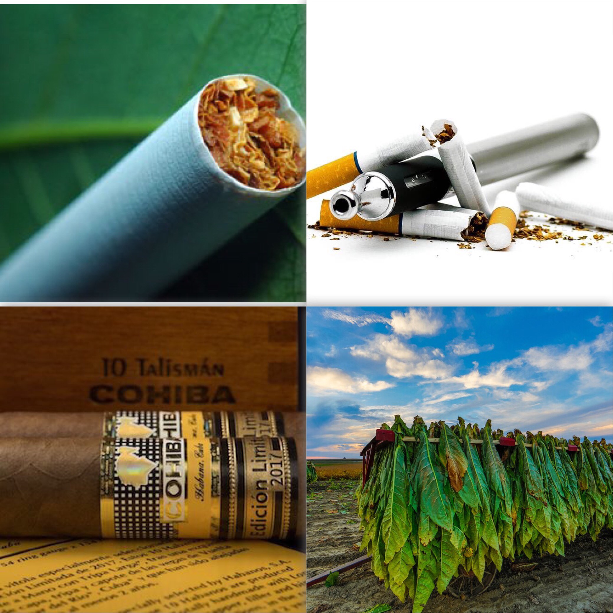  The Lebanese Cigarettes Industry: An Upgraded Production & New Trends