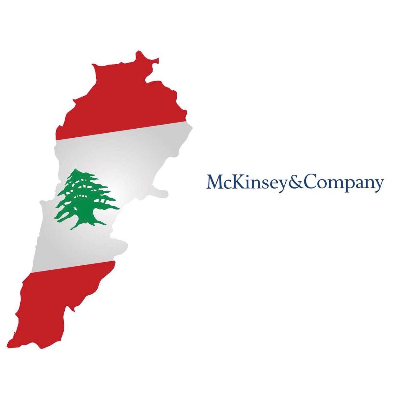  1,274 pages in 15 pages: The McKinsey Report in a Nutshell