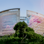 Daily Capital Markets’ Performance