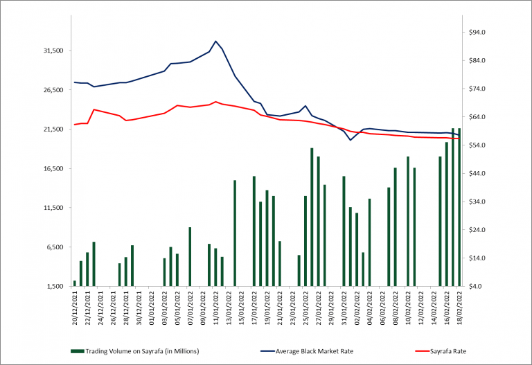 Sayrafa The Road for Currency Recovery Or for Temporary Stability